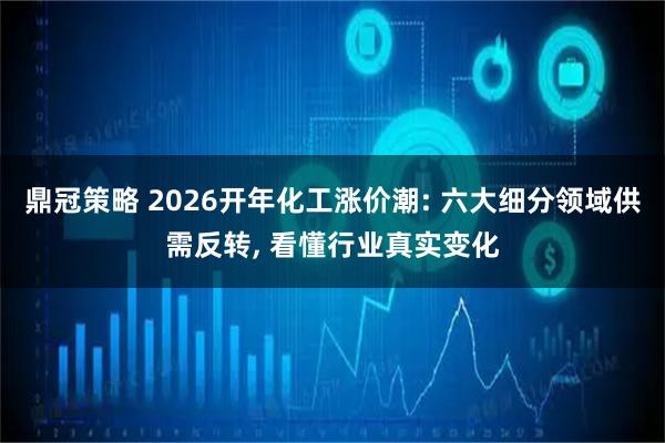 鼎冠策略 2026开年化工涨价潮: 六大细分领域供需反转, 看懂行业真实变化