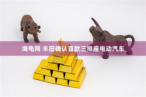海龟网 丰田确认首款三排座电动汽车