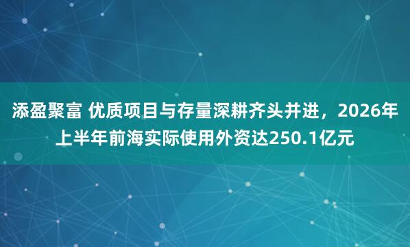 添盈聚富 优质项目与存量深耕齐头并进，2026年上半年前海实际使用外资达250.1亿元