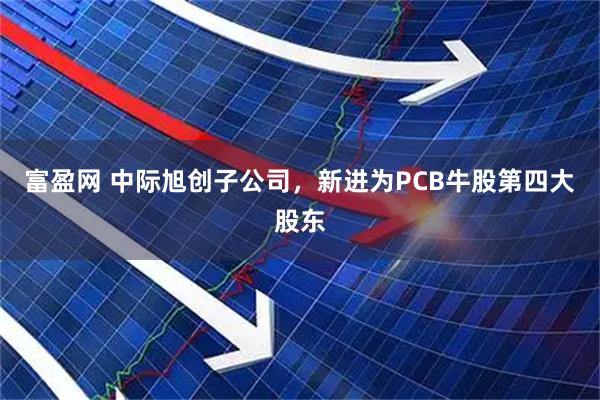 富盈网 中际旭创子公司，新进为PCB牛股第四大股东